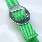 HKM Halster Stars Economy Licht Groen HKM Halster Stars Economy Licht Groen