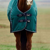 WeatherBeeta ComFiTec Plus Dynamic Turnout 100g Forest Green/Navy WeatherBeeta ComFiTec Plus Dynamic Turnout 100g Forest Green/Navy