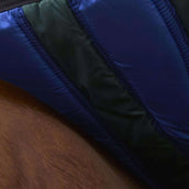 WeatherBeeta ComFiTec Plus Dynamic Turnout 100g Forest Green/Navy WeatherBeeta ComFiTec Plus Dynamic Turnout 100g Forest Green/Navy