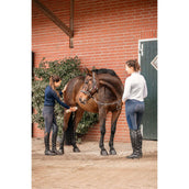 Bense & Eicke Bense & Eicke Paardendeo Bense & Eicke Bense & Eicke Paardendeo