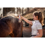 Bense & Eicke Bense & Eicke Paardendeo Bense & Eicke Bense & Eicke Paardendeo