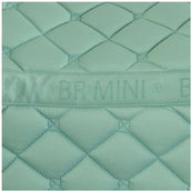 BR Zadeldekje Mini Horse Feldspar BR Zadeldekje Mini Horse Feldspar