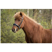 BR Hoofdstel Barnet Zwart/Zilver BR Hoofdstel Barnet Zwart/Zilver