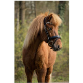 BR Hoofdstel Barnet Zwart/Zilver BR Hoofdstel Barnet Zwart/Zilver