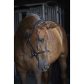 Catago Leren Halster Zwart Catago Leren Halster Zwart