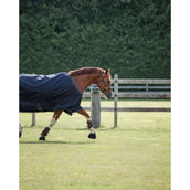 Dominick Outdoordeken Turnout Lite 0g Navy/Wit Dominick Outdoordeken Turnout Lite 0g Navy/Wit