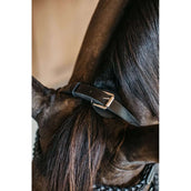 Dyon Hoofdstel Training Zwart Dyon Hoofdstel Training Zwart