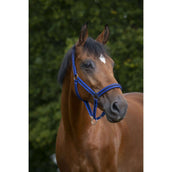 Norton Halster Gevoerd met Neopreen Koningsblauw/Zwart Norton Halster Gevoerd met Neopreen Koningsblauw/Zwart