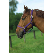 Norton Halster Nylon met Leer Gevoerd Paars Norton Halster Nylon met Leer Gevoerd Paars