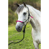 Norton Halster + Halstertouw Fun Colour Ethologisch Zwart/Fuchsia Norton Halster + Halstertouw Fun Colour Ethologisch Zwart/Fuchsia