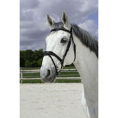 Norton Hoofdstel Pro Vague Zwart Norton Hoofdstel Pro Vague Zwart