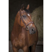 Norton Hoofdstel Pro Vague Havana Norton Hoofdstel Pro Vague Havana