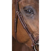 Norton Hoofdstel Pro Vague Havana Norton Hoofdstel Pro Vague Havana