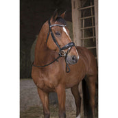 Norton Teugels Pro Grip Zwart Norton Teugels Pro Grip Zwart