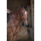 Norton Bijzetteugels Pro Kort Elastisch met Katrollen Havanna Norton Bijzetteugels Pro Kort Elastisch met Katrollen Havanna