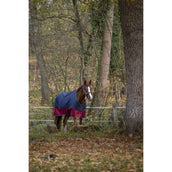 EQUITHÈME Outdoordeken Tyrex 1200D 450g Navy/Bordeaux EQUITHÈME Outdoordeken Tyrex 1200D 450g Navy/Bordeaux