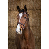 Norton Hoofdstel Pro Miss Havana Norton Hoofdstel Pro Miss Havana