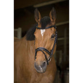 Norton Hoofdstel Pro Rock Havana Norton Hoofdstel Pro Rock Havana