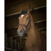 Norton Hoofdstel Pro Rock Havana Norton Hoofdstel Pro Rock Havana