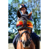 eQuick Brillenglazen for eVysor Regenboog eQuick Brillenglazen for eVysor Regenboog