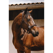 EQUITHÈME Halster Jacquard Bruin EQUITHÈME Halster Jacquard Bruin