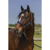 Norton Halster 4Lines Navy Norton Halster 4Lines Navy