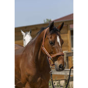 Norton Halster Satine Koraal/Zwart Norton Halster Satine Koraal/Zwart