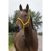 Norton Halster Satine Honing Norton Halster Satine Honing