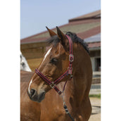 Norton Halster Satine Burgundy/Zwart Norton Halster Satine Burgundy/Zwart