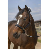 EQUITHÈME Halster Strass Nylon Zwart EQUITHÈME Halster Strass Nylon Zwart