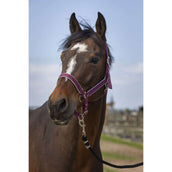EQUITHÈME Halster Light Nylon Burgundy EQUITHÈME Halster Light Nylon Burgundy