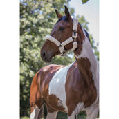 Norton Halster Volledig Synthetisch Schapenvacht Ecru/Choco Norton Halster Volledig Synthetisch Schapenvacht Ecru/Choco