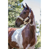 Norton Halster Volledig Synthetisch Schapenvacht Ecru/Navy Norton Halster Volledig Synthetisch Schapenvacht Ecru/Navy