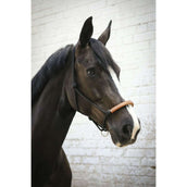 Pénélope Touwhalster Western Pénélope Touwhalster Western