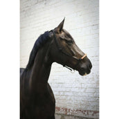 Pénélope Touwhalster Western Pénélope Touwhalster Western