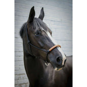 Pénélope Touwhalster Western Pénélope Touwhalster Western