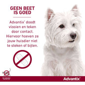 Advantix 250/1250 Spot-On Hond 10-25kg Advantix 250/1250 Spot-On Hond 10-25kg
