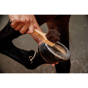 Grooming Deluxe by Kentucky Hoevenkrabber Grooming Deluxe by Kentucky Hoevenkrabber