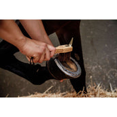 Grooming Deluxe by Kentucky Hoevenkrabber Grooming Deluxe by Kentucky Hoevenkrabber