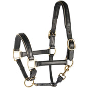 Harry's Horse Halster Leder Zwart Met Bies Goud Harry's Horse Halster Leder Zwart Met Bies Goud