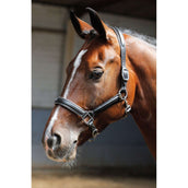 Harry's Horse Halster Leder Zwart Met Bies Zilver Harry's Horse Halster Leder Zwart Met Bies Zilver