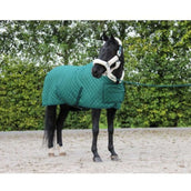 HB Showtime Showdeken Desire160gr Forest-green HB Showtime Showdeken Desire160gr Forest-green