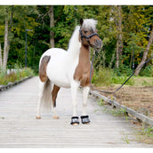 HB Springschoenen Zebra Zwart/Wit HB Springschoenen Zebra Zwart/Wit