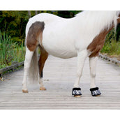 HB Springschoenen Zebra Zwart/Wit HB Springschoenen Zebra Zwart/Wit