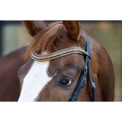 HB Hoofdstel Showtime It is So Special Brown/Golden Glitter HB Hoofdstel Showtime It is So Special Brown/Golden Glitter