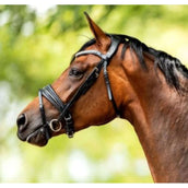 HB Showtime Hoofdstel Very Soft Zwart HB Showtime Hoofdstel Very Soft Zwart