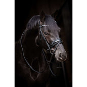 HB Hoofdstel Showtime Evalira Blauw/Zwart HB Hoofdstel Showtime Evalira Blauw/Zwart