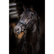 HB Hoofdstel Showtime Evalira Blauw/Zwart HB Hoofdstel Showtime Evalira Blauw/Zwart