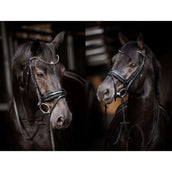 HB Hoofdstel Showtime Evalira Zwart HB Hoofdstel Showtime Evalira Zwart