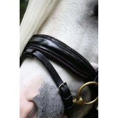 HB Showtime Hoofdstel Special Zwart/Burgundy HB Showtime Hoofdstel Special Zwart/Burgundy